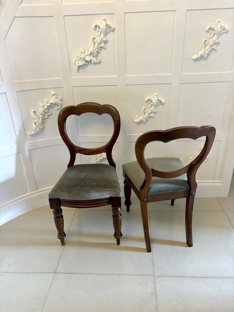 Antique Victorian Mahogany Balloon Back Dining Chairs – Set of Four - Image 3